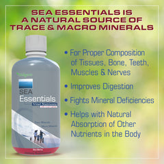 Wellgenix Sea Essentials sea vegetation illustration highlighting mineral sources.