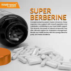 WELLNESS LABSRX Berberine with cinnamon extract visual suggests natural pairing