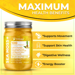 WELLNESS LABSRX Caribbean-sourced sea moss image highlighting natural harvest quality.