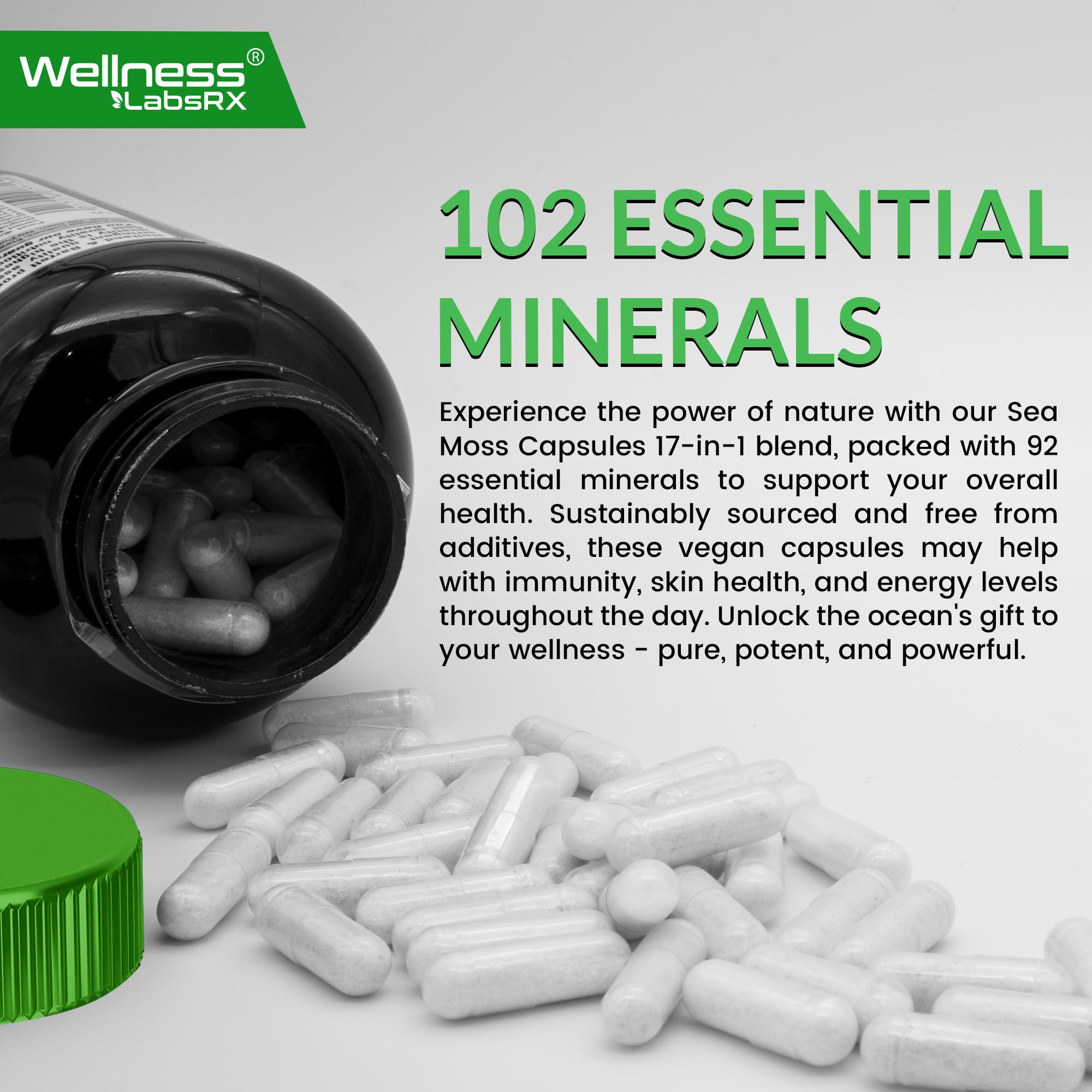 Wellness LabsRx Irish Sea Moss Capsules two-pack on display highlights value and convenience.