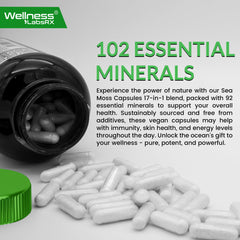 Wellness LabsRx Irish Sea Moss Capsules two-pack on display highlights value and convenience.