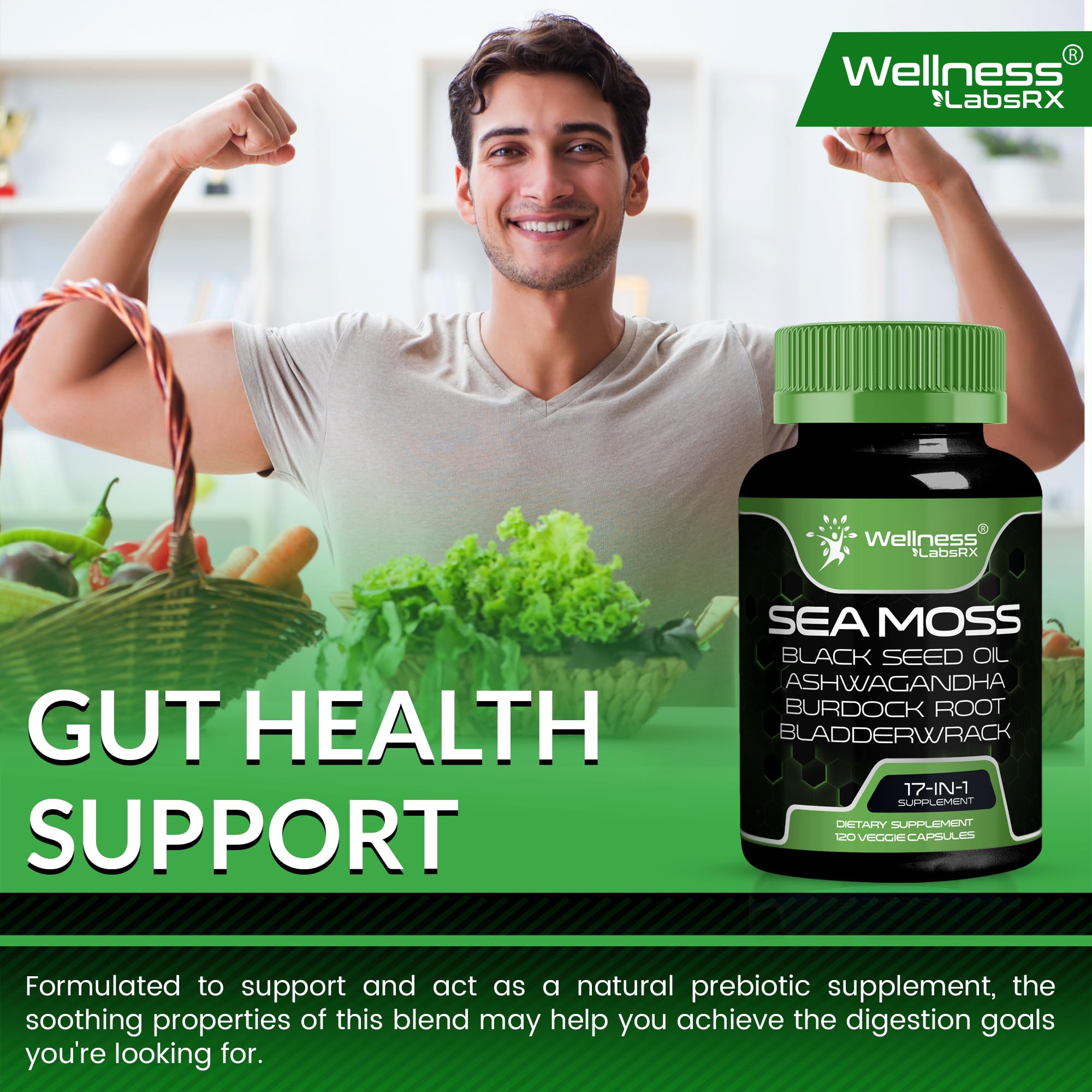 Wellness LabsRx daily dosing visuals encourage routine supplementation.