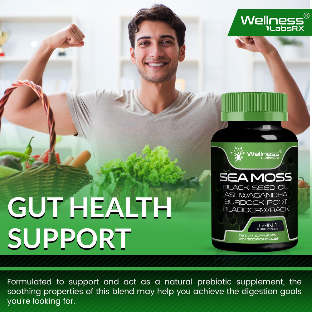 Wellness LabsRx daily dosing visuals encourage routine supplementation.