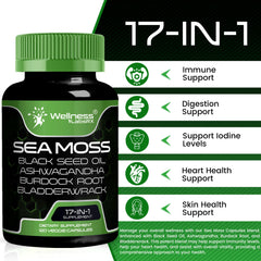 Wellness LabsRx Irish Sea Moss Capsules ingredients blend highlights ashwagandha and bladderwrack.