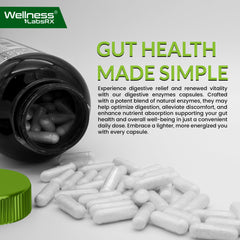 WELLNESS LABSRX synbiotic label emphasizing prebiotics fueling probiotic activity.