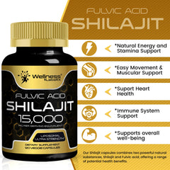 Wellness LabsRx Shilajit resin extract 10:1 closeup highlighting mineral richness