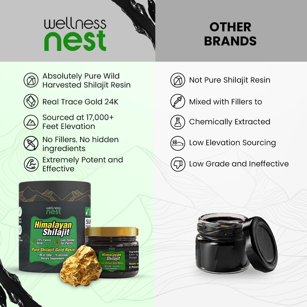 Wellness Nest Gold Shilajit resin in a wellness setup with herbs highlights ritual use