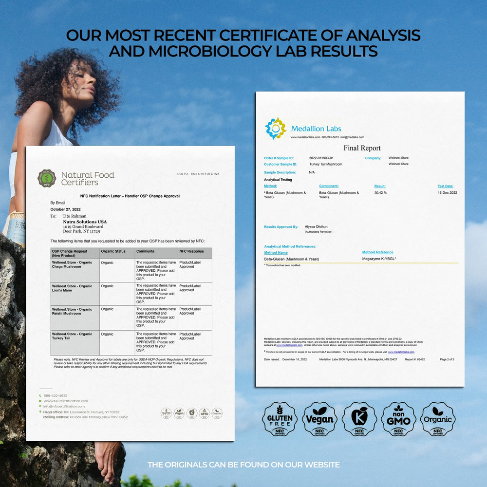 Wellnest Store turkey tail ingredient label detail organic and vegan-friendly