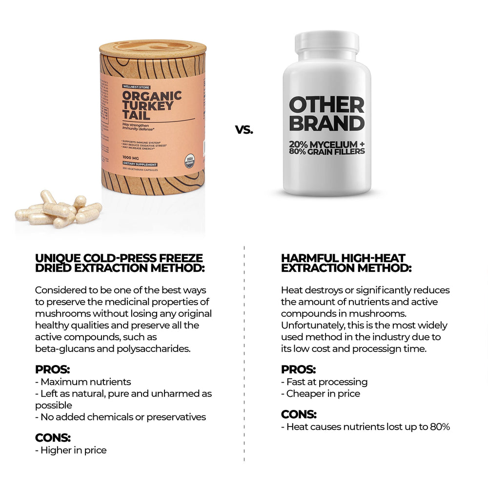 Wellnest Store turkey tail packaging with recycled cardboard eco-friendly packaging