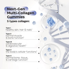 Wellneum Collagen Gummies pouch inside shows portable packaging for on-the-go wellness.