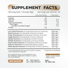 Wellneum Mushroom Coffee ingredients scene highlighting adaptogens for focus