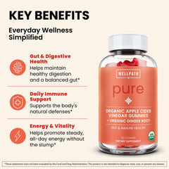 WellPath ACV Gummies close-up shows chewy texture with natural apple flavor.