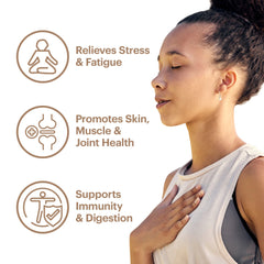 Wellthy Collagen Superfood Powder organic matcha boosts natural energy and focus