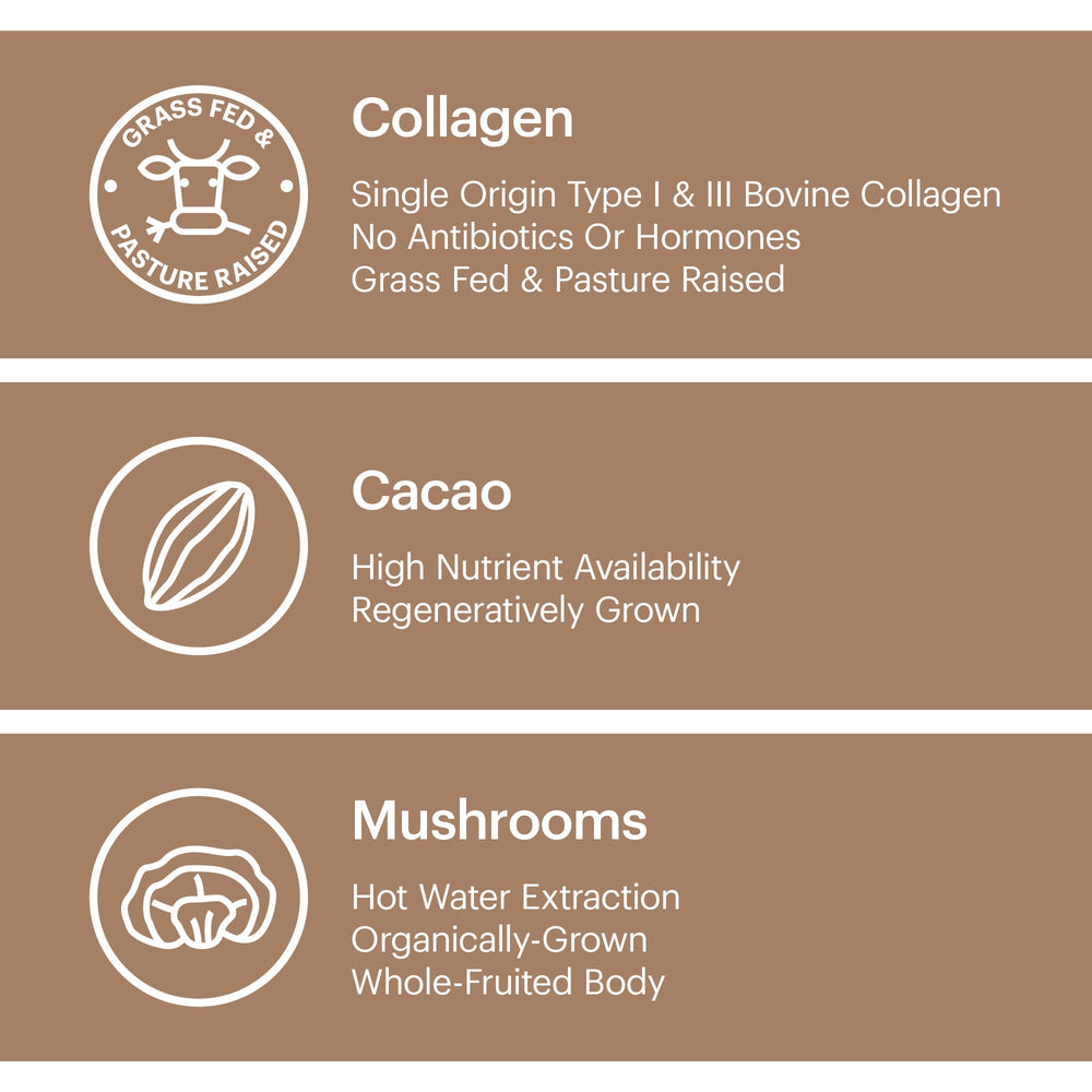 Wellthy Collagen Superfood Powder packaging packets offer convenient daily use