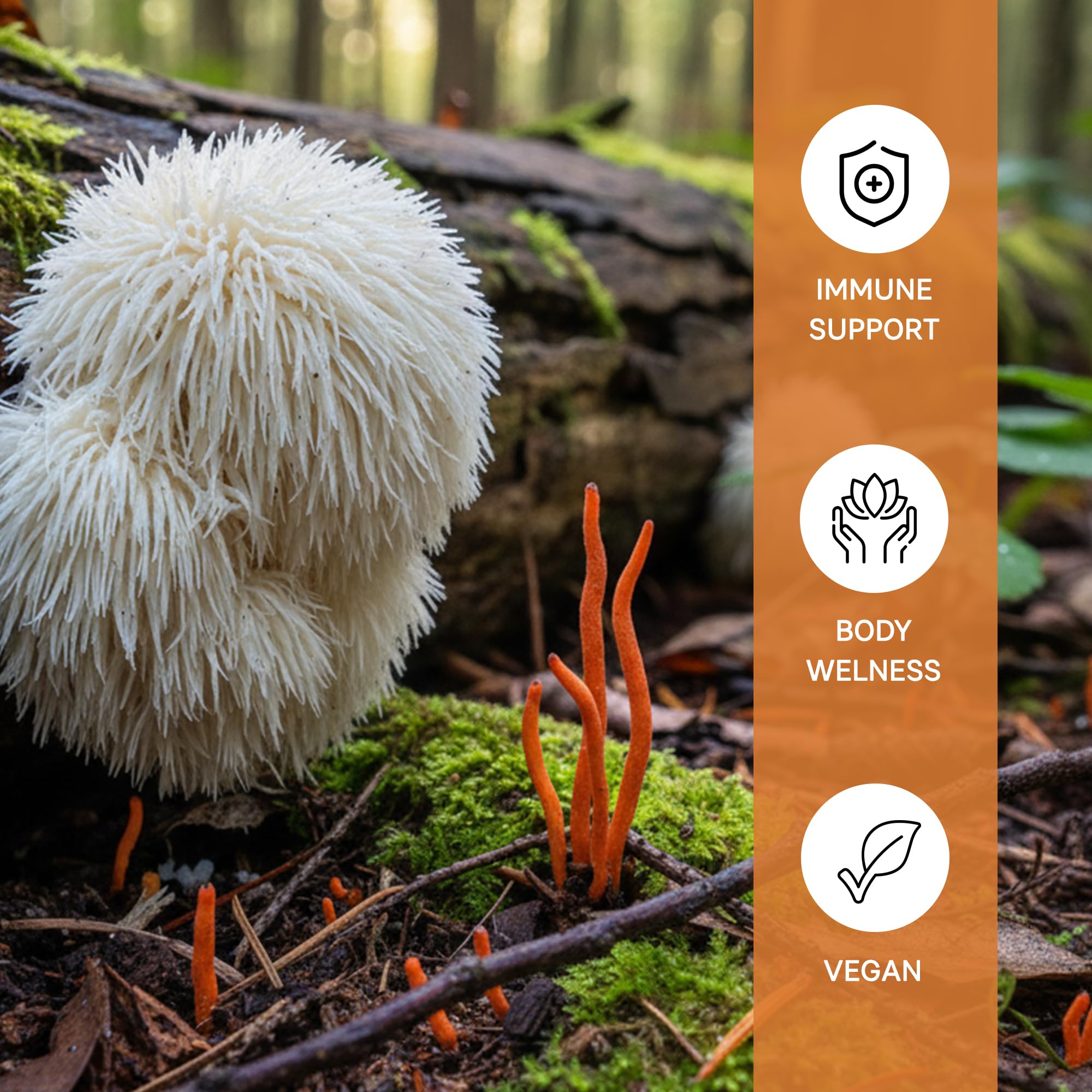 Daily use directions for West Wolf Medicinals Lion's Mane & Cordyceps