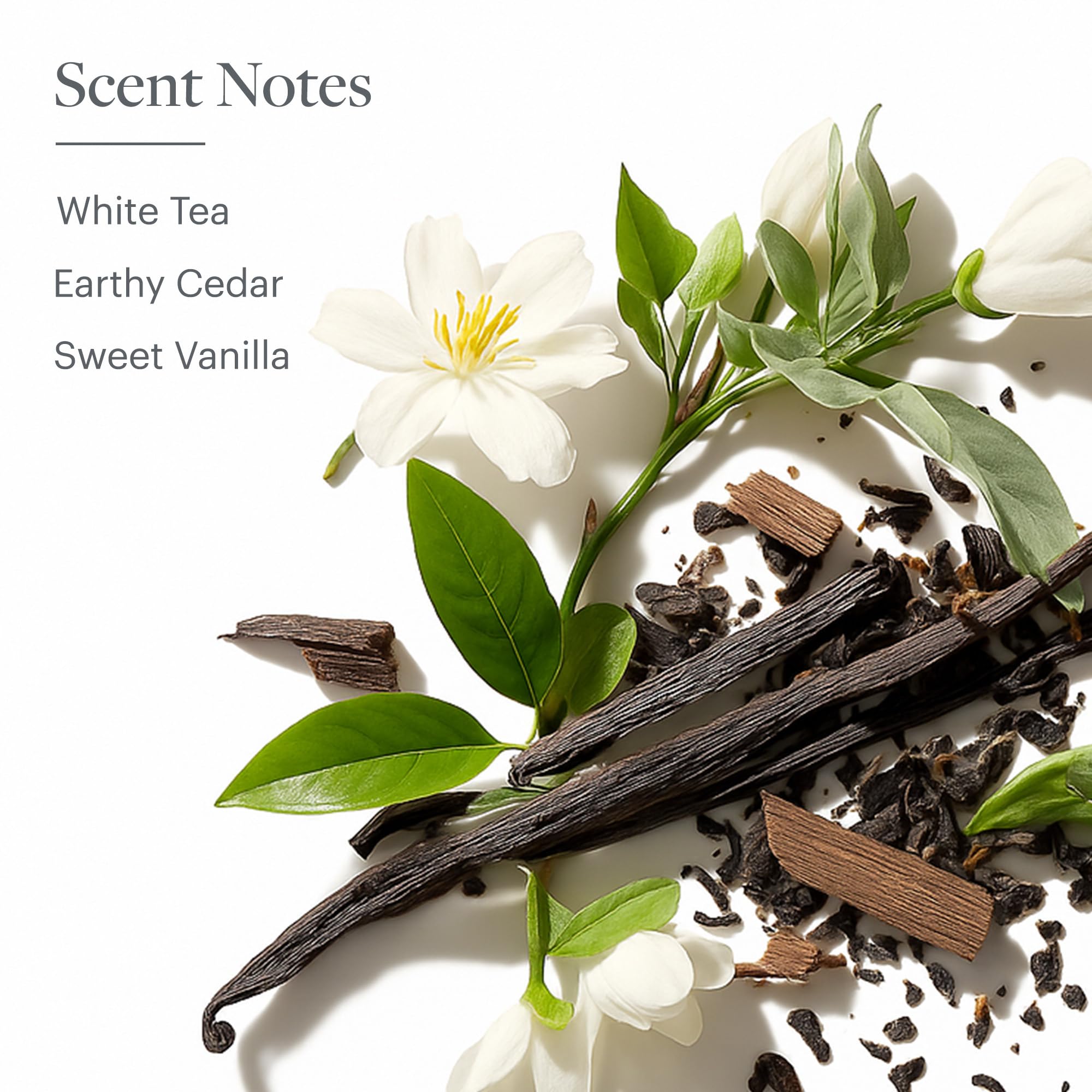 Westin White Tea room diffuser filling an open living space