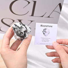 WHAL&YUNE Moonstone raw stone detail showing natural facets and color