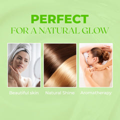 White Naturals Lime Essential Oil dropper for precise, easy application.