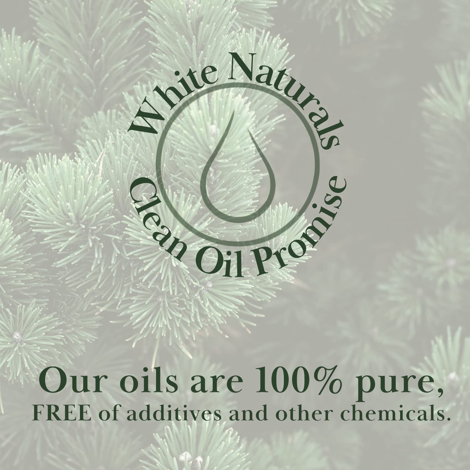 Close-up of White Naturals Pine Oil woodsy aroma scent