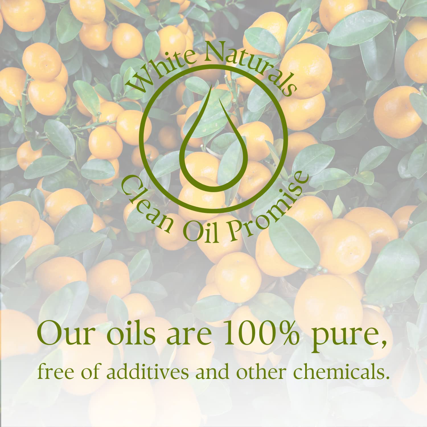 White Naturals Mandarin oil for skin softness and hair care.