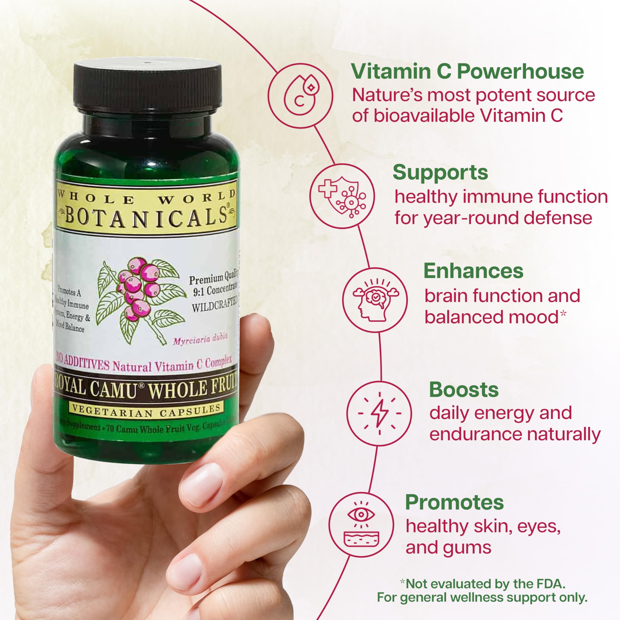 Whole World Botanicals Royal Camu Dark powder scoop prepared for daily use