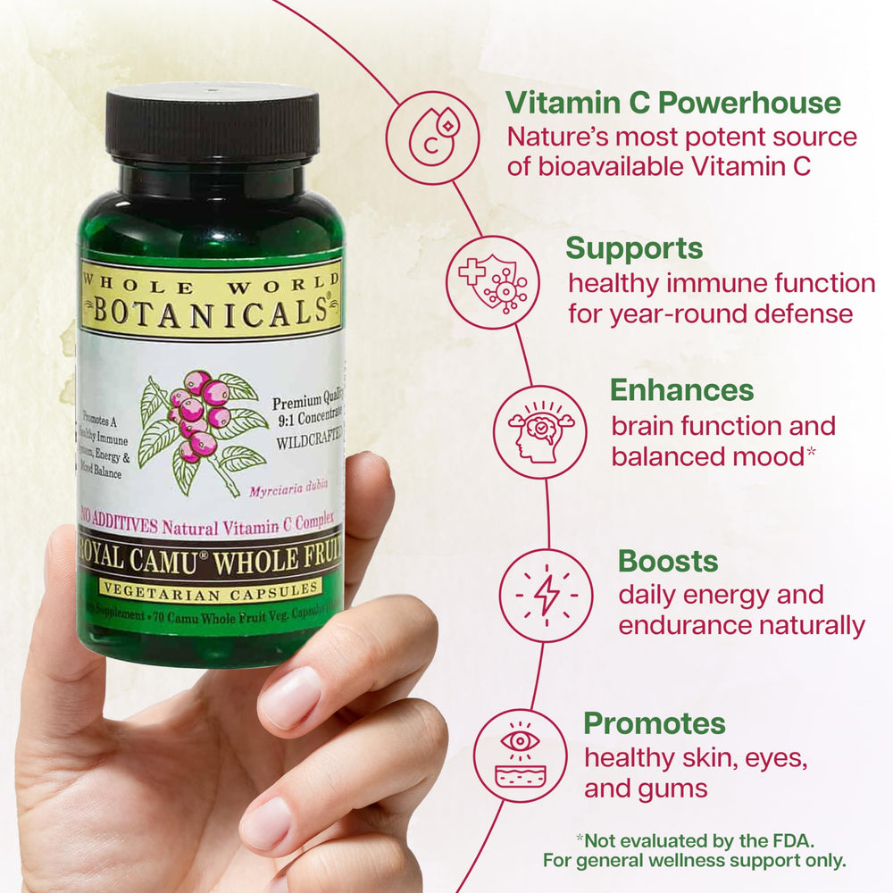 Whole World Botanicals Royal Camu Dark powder scoop prepared for daily use