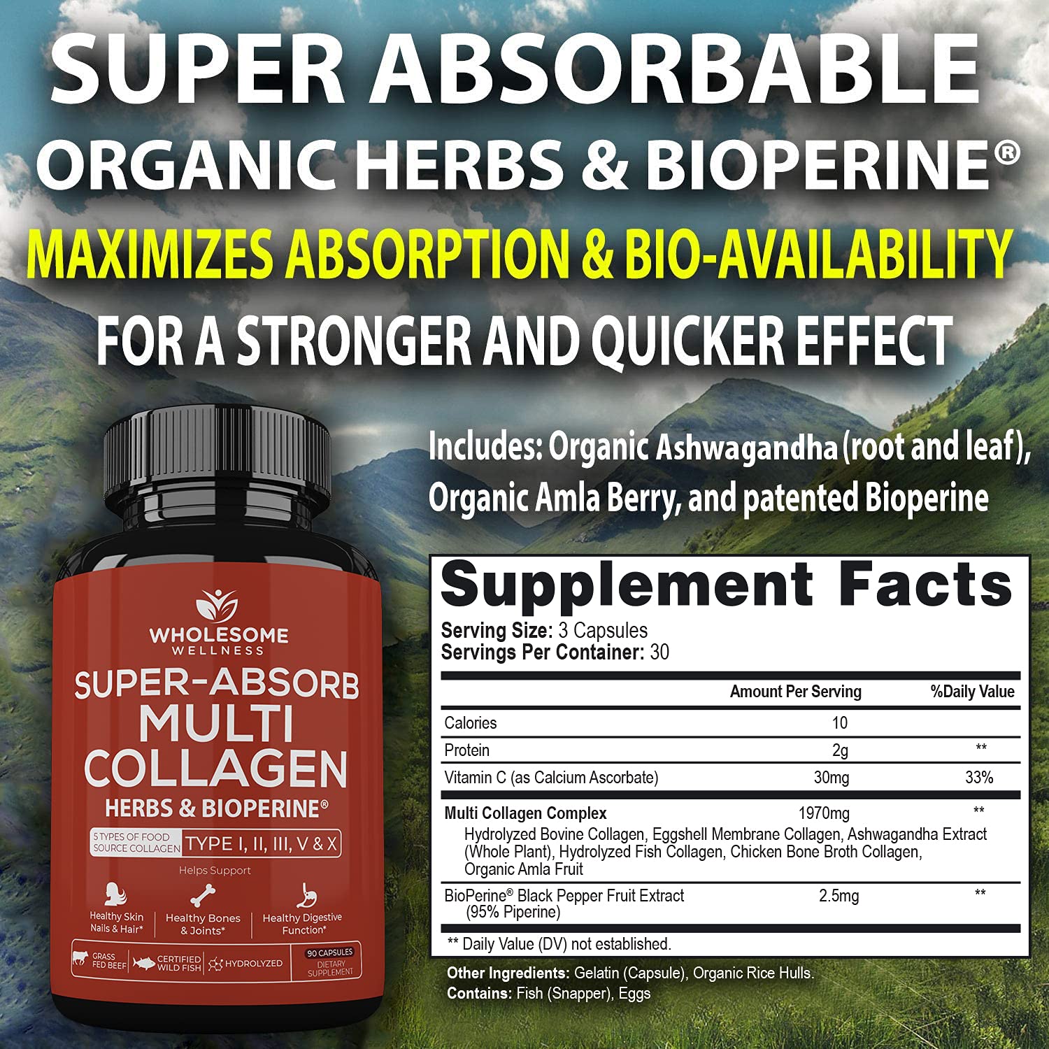 Wholesome Wellness capsules in hand for easy daily support for hair, skin, nails