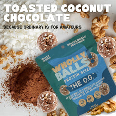 Wholly Balls Protein Bites cinnamon vanilla, gluten-free snack for busy days.