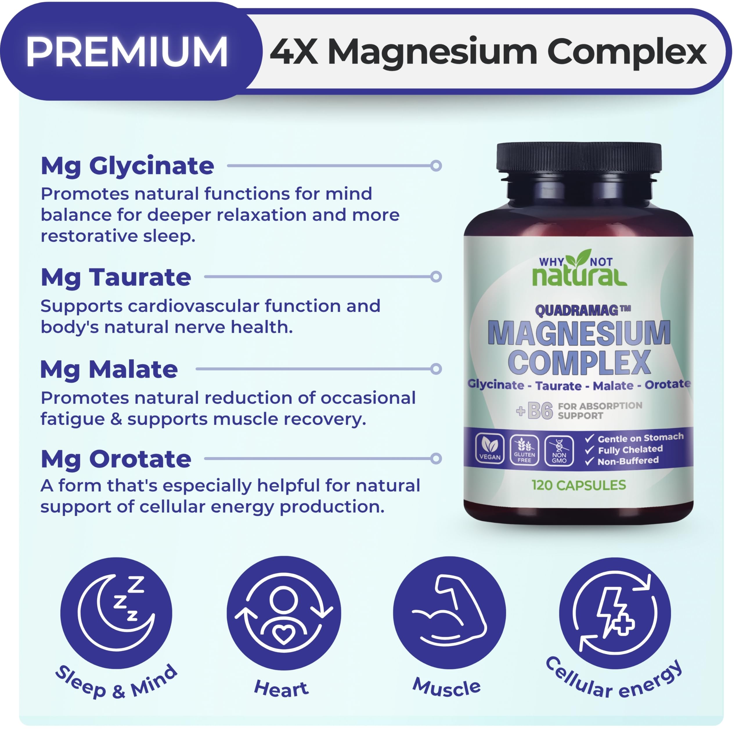 Why Not Natural 4-in-1 Magnesium capsules pour illustrates easy dosing and absorption.
