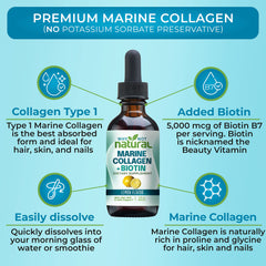 Closeup of Why Not Natural Liquid Collagen Drops with marine formula
