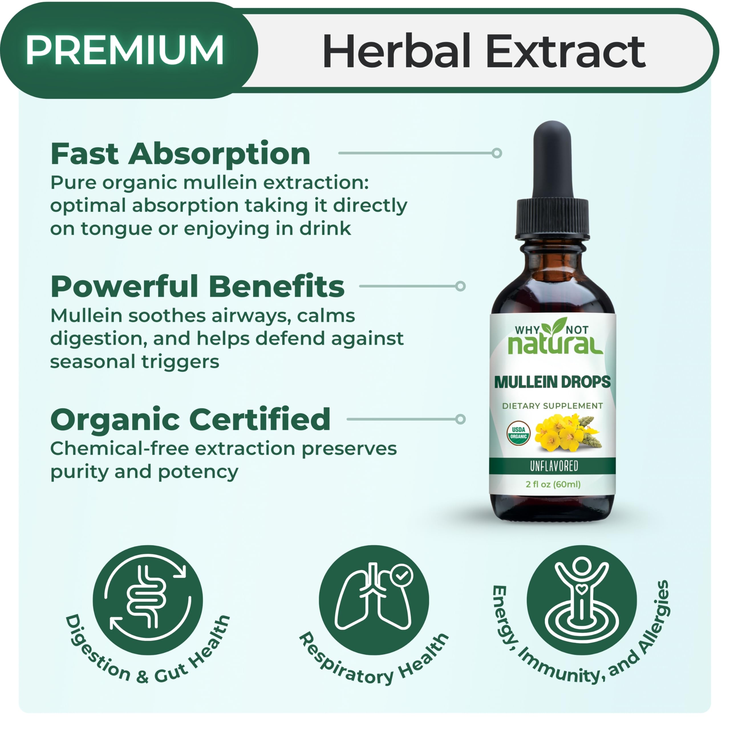 Why Not Natural Mullein Drops dropper highlights precise, easy dosing.
