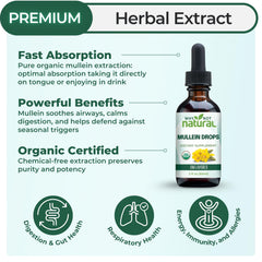 Why Not Natural Mullein Drops dropper highlights precise, easy dosing.