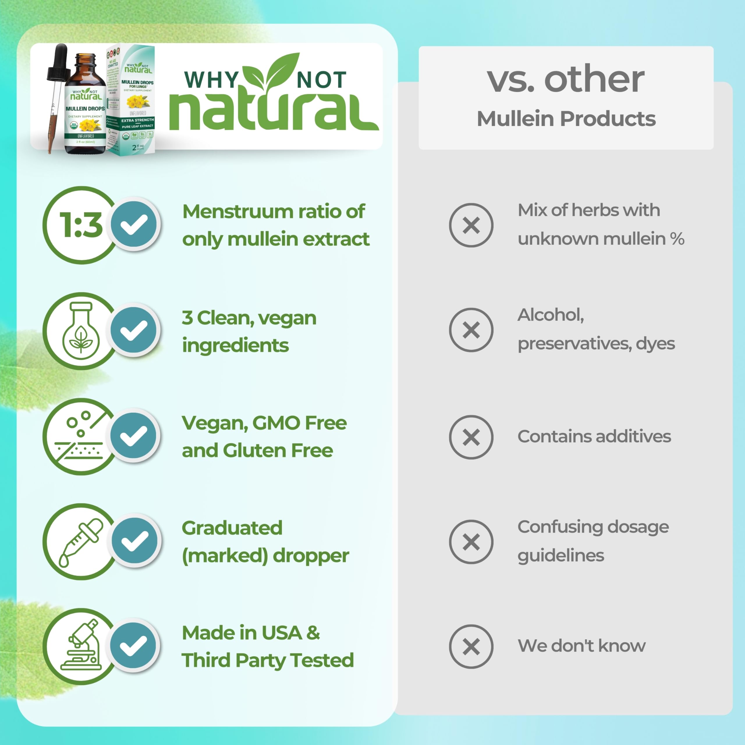 Why Not Natural Mullein Drops leaf close-up emphasizes mullein potency.