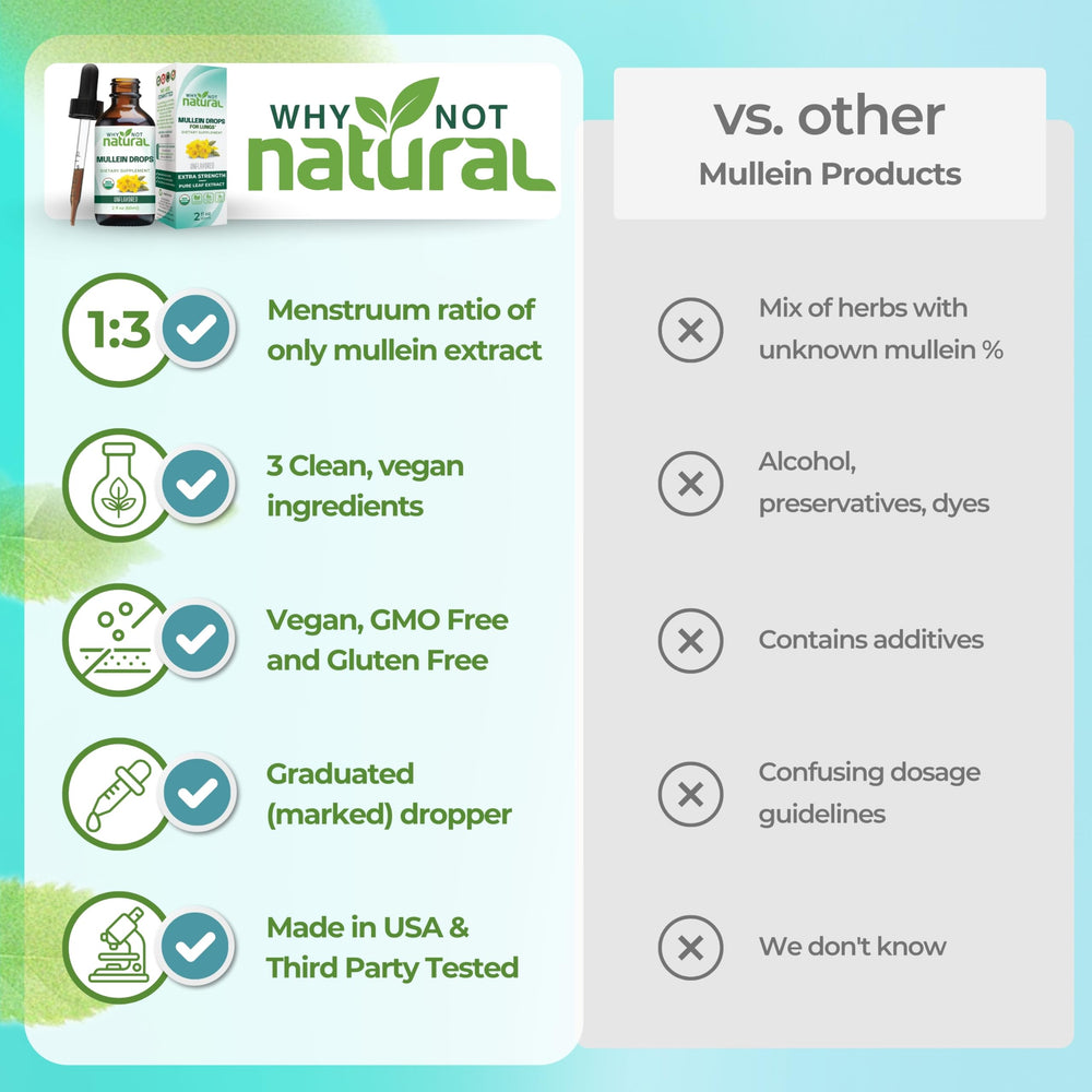 Why Not Natural Mullein Drops leaf close-up emphasizes mullein potency.