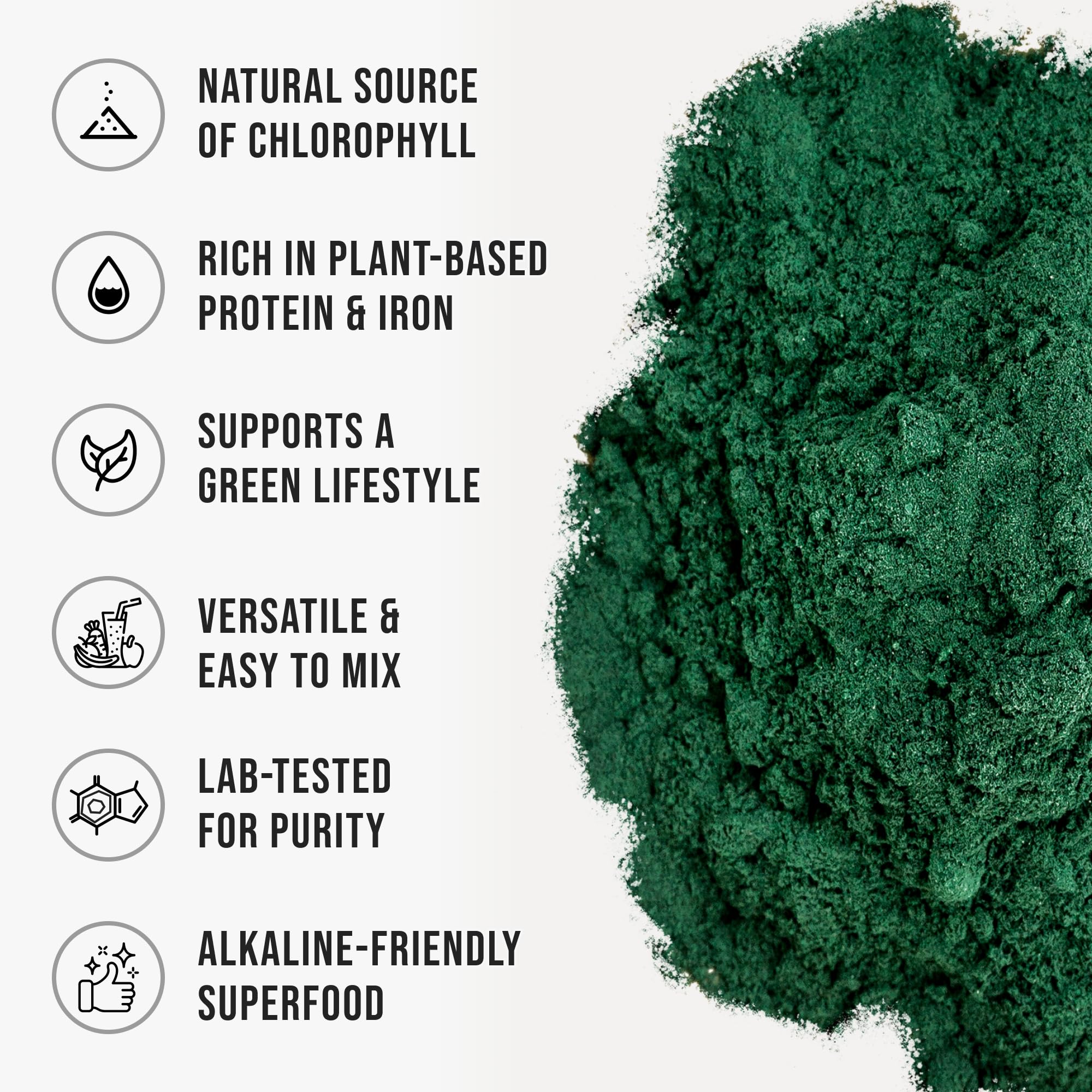 WHYZ Organic Chlorella Powder ingredient graphic shows vegan nutrients.