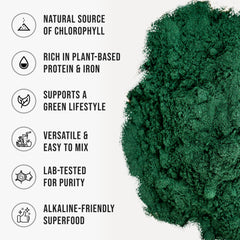 WHYZ Organic Chlorella Powder ingredient graphic shows vegan nutrients.