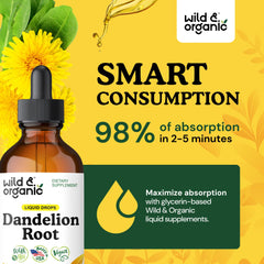 Wild & Organic Dandelion Root Drops dropper close-up with glycerin-based sweetness
