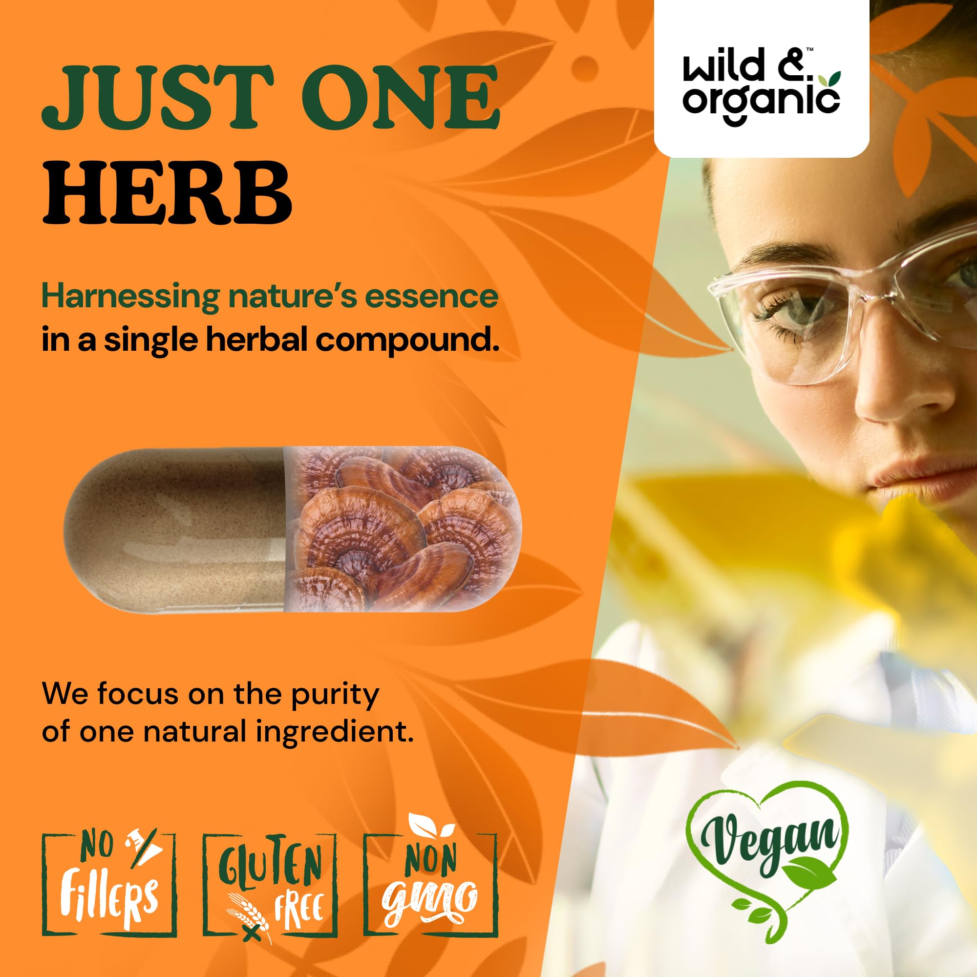 Wild and Organic Reishi packaging banner noting gluten-free formula