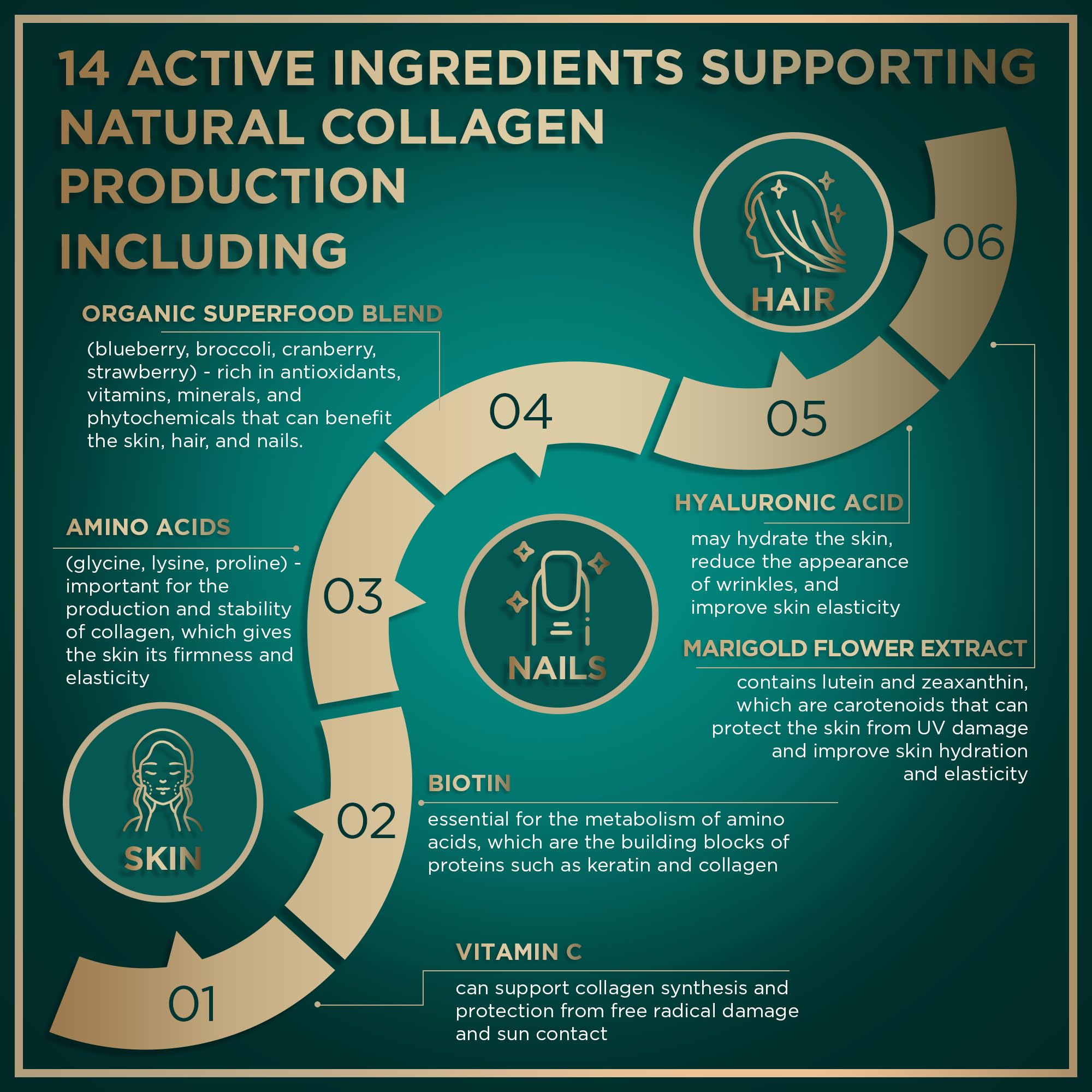 Daily-dose image of WILD FUEL Vegan Collagen Builder for routine supplementation.