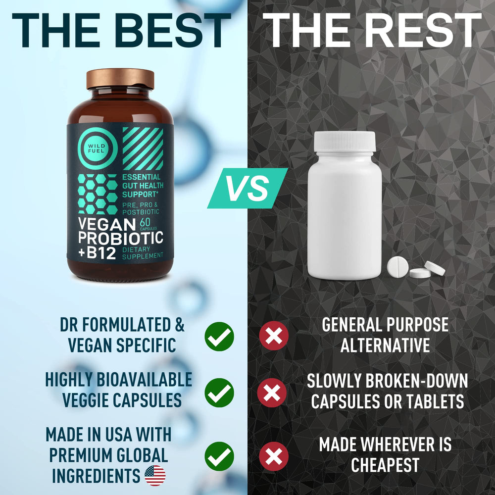 Wild Fuel Vegan Probiotic Plus B12 graphic notes mood and energy potential