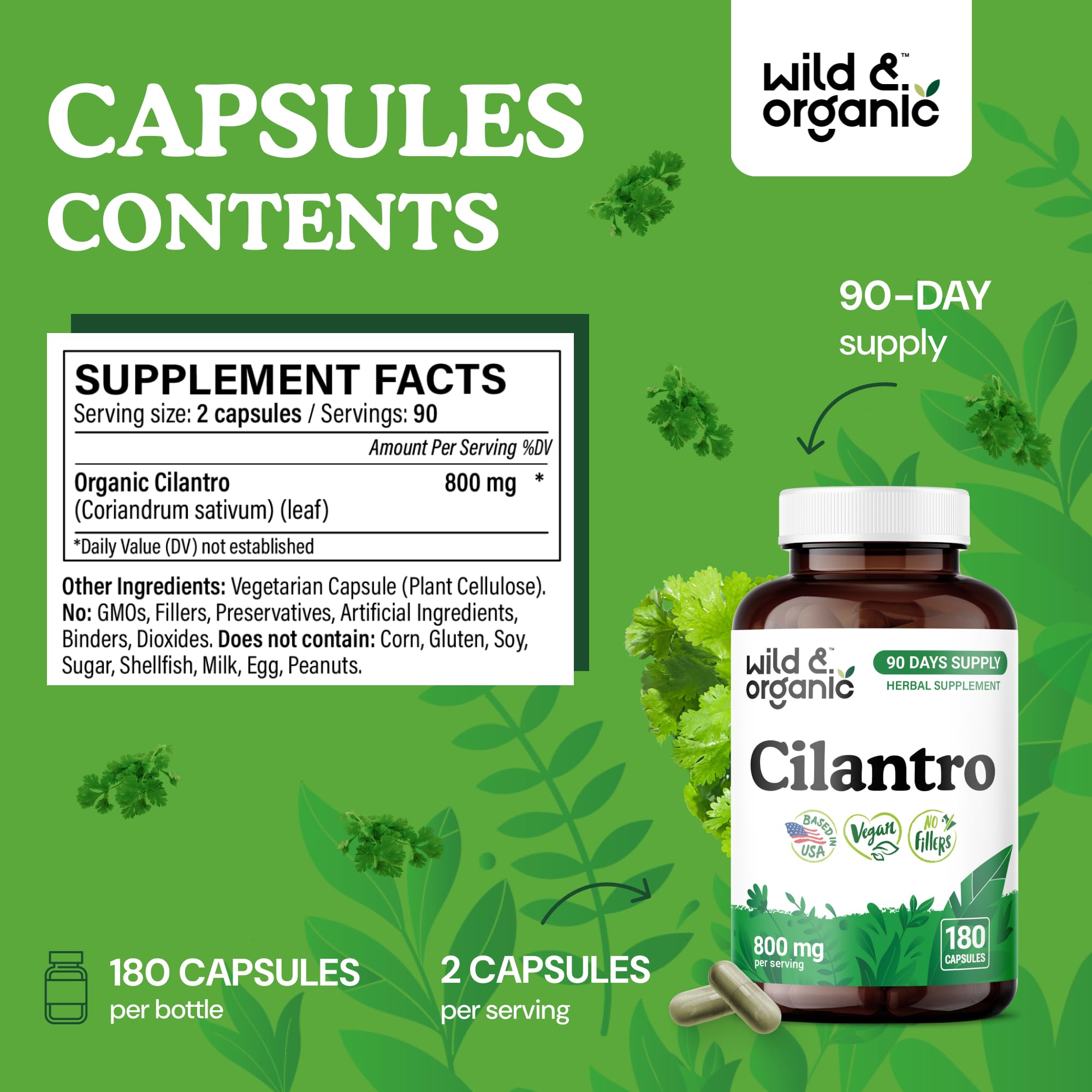 Close-up of cilantro leaf extract capsule for antioxidants.