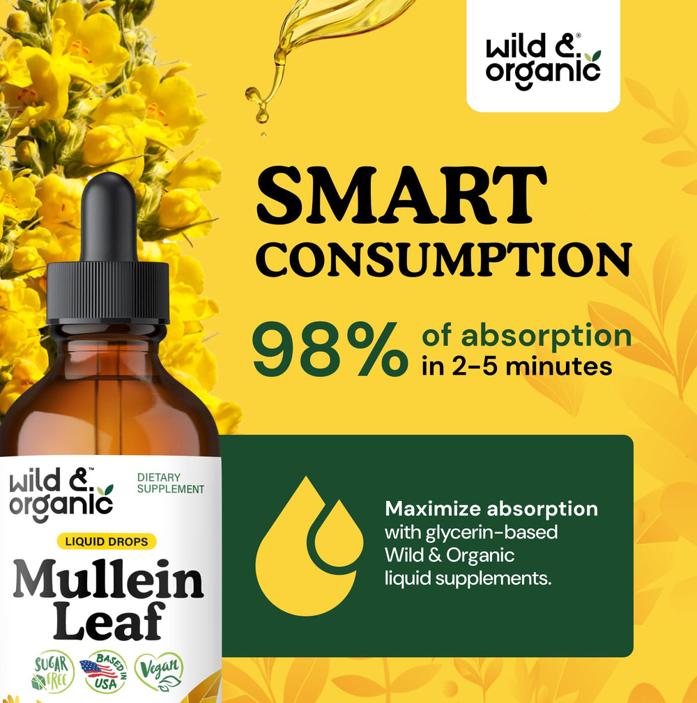 Amber bottle protects Wild & Organic Mullein Drops from light for quality.