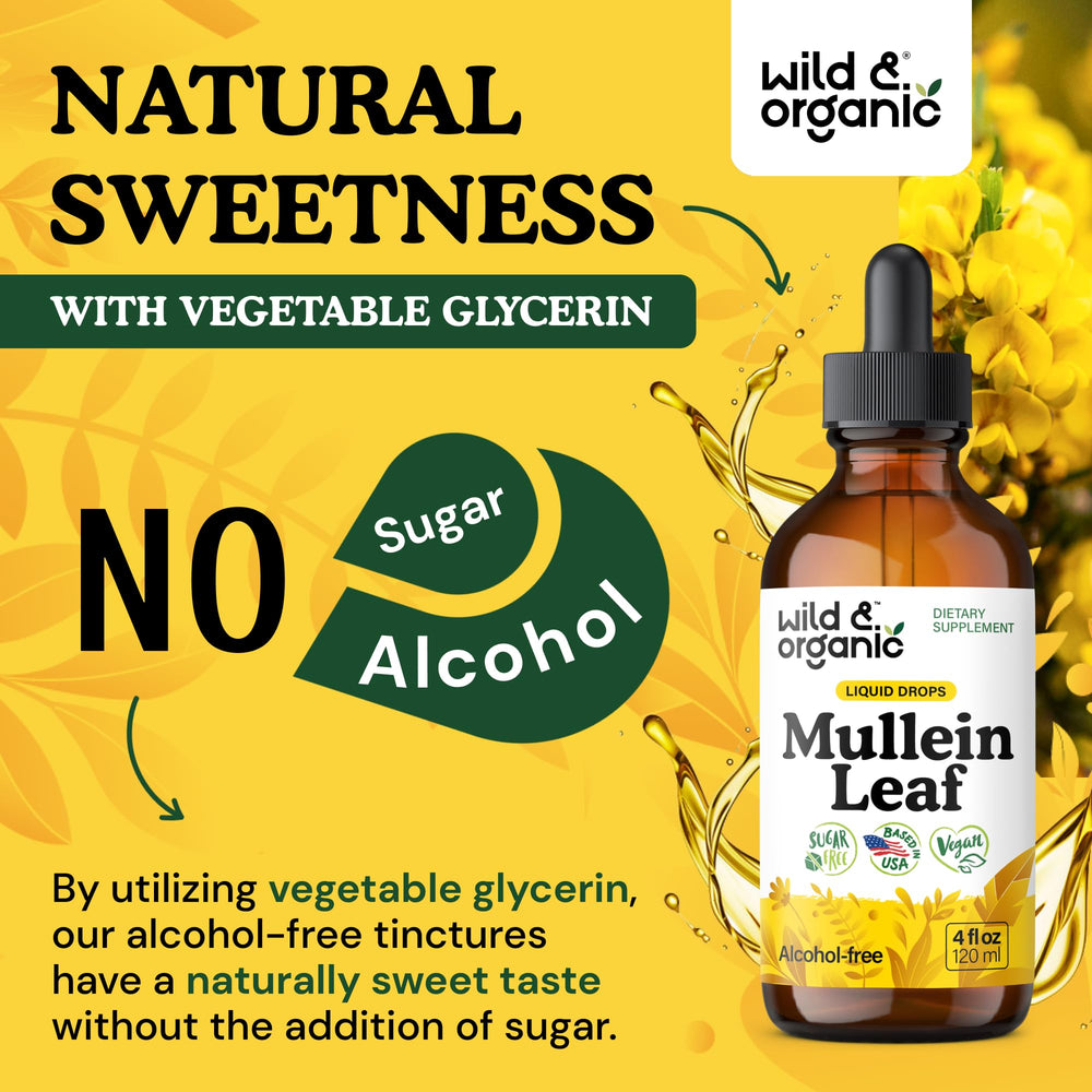 Cap and dropper of Wild & Organic Mullein Drops for easy access.