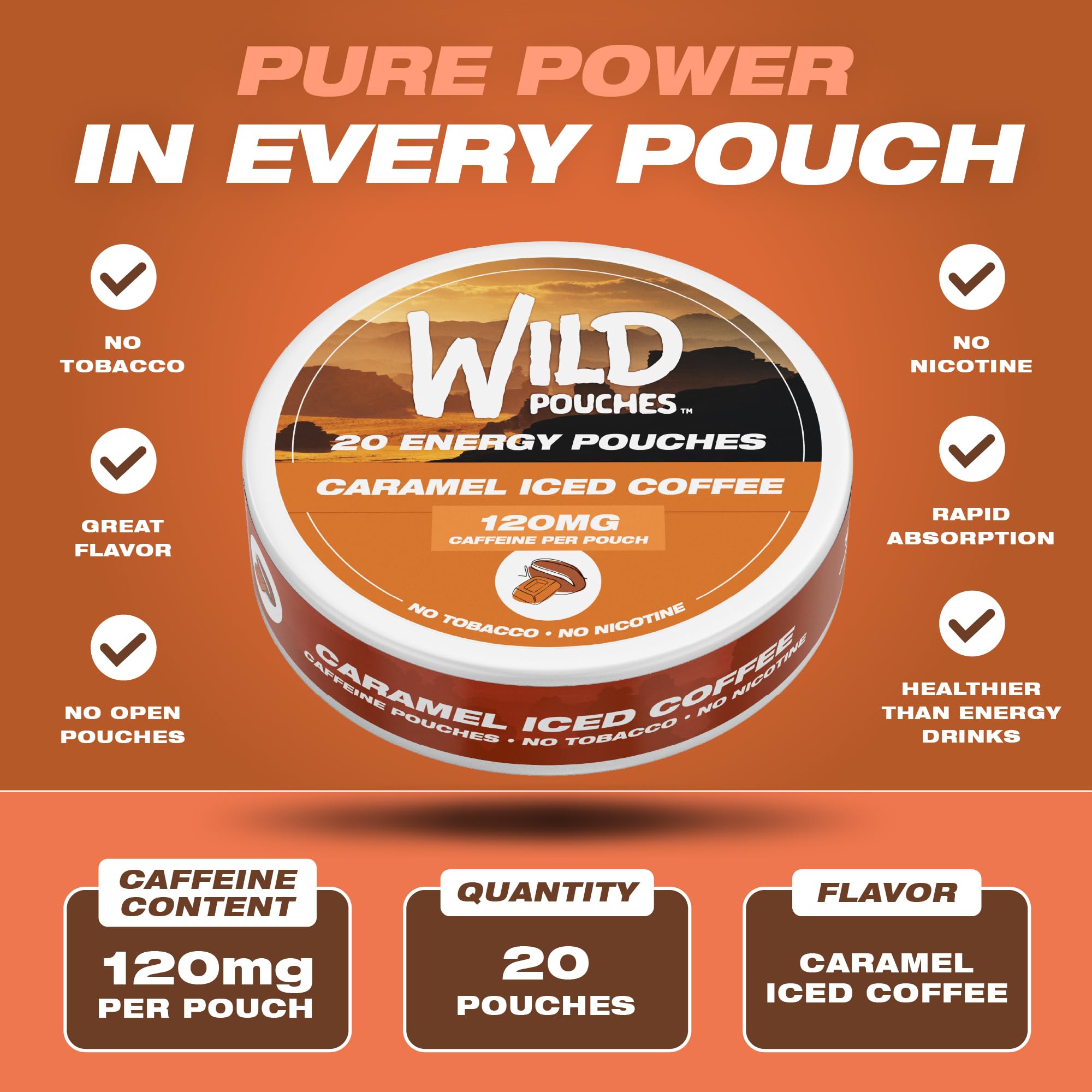 Wild Pouches energy can front showing nicotine-free, on-the-go caffeine for daytime alertness.