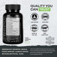 Wild Foods probiotic capsules on desk ready for daily use