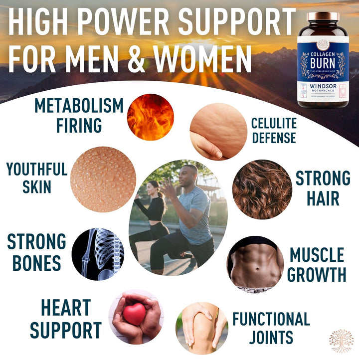 WINDSOR BOTANICALS ashwagandha icon signals adaptogenic mood and focus support.