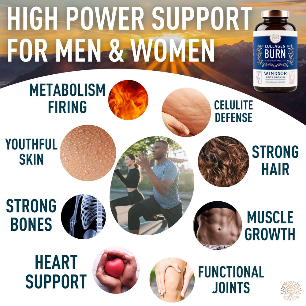 WINDSOR BOTANICALS ashwagandha icon signals adaptogenic mood and focus support.