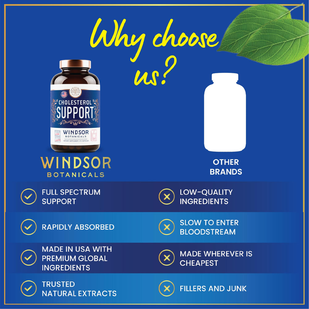 Windsor Botanicals cholesterol berberine amber bottle showcasing premium extract.