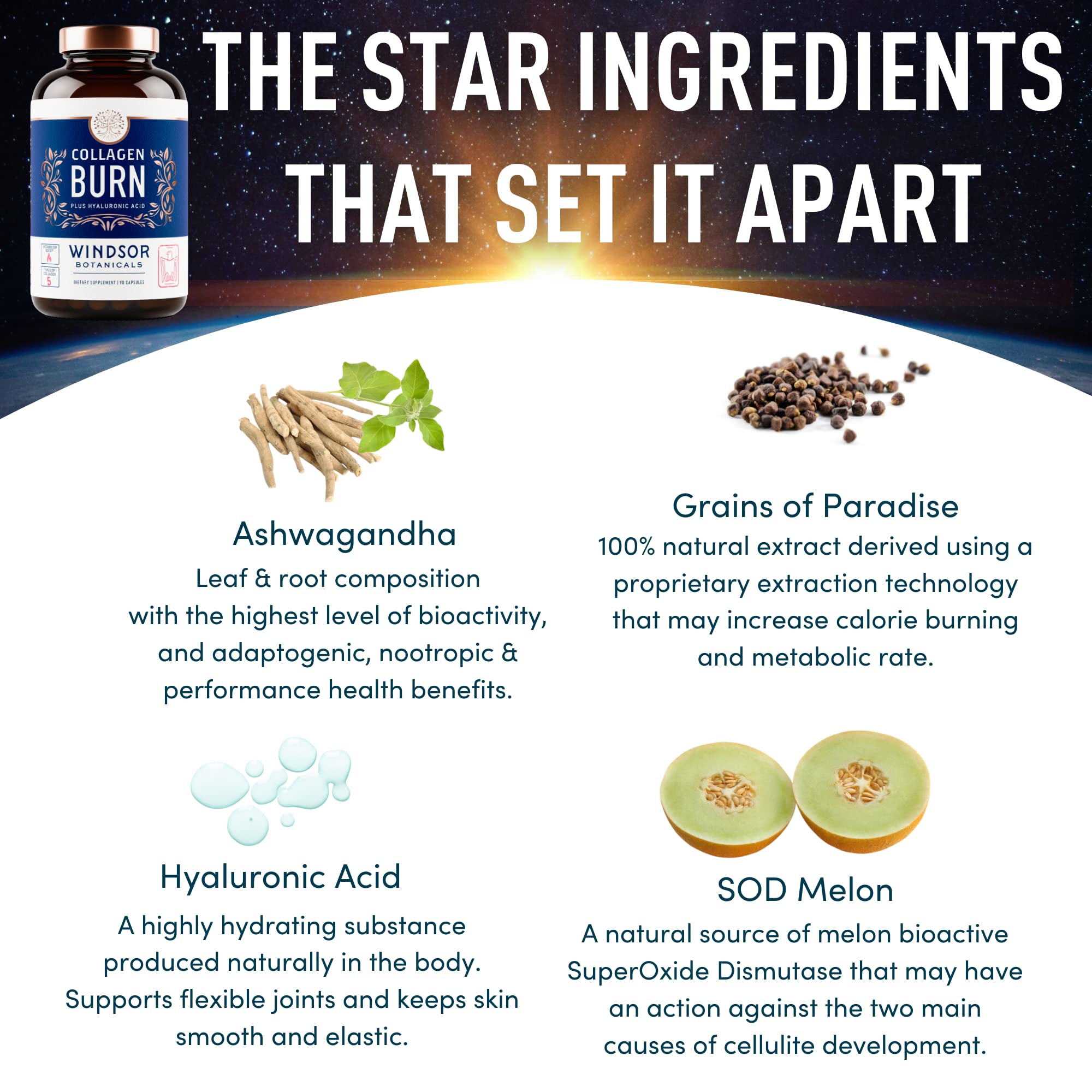 WINDSOR BOTANICALS hyaluronic acid graphic highlights skin hydration benefits.