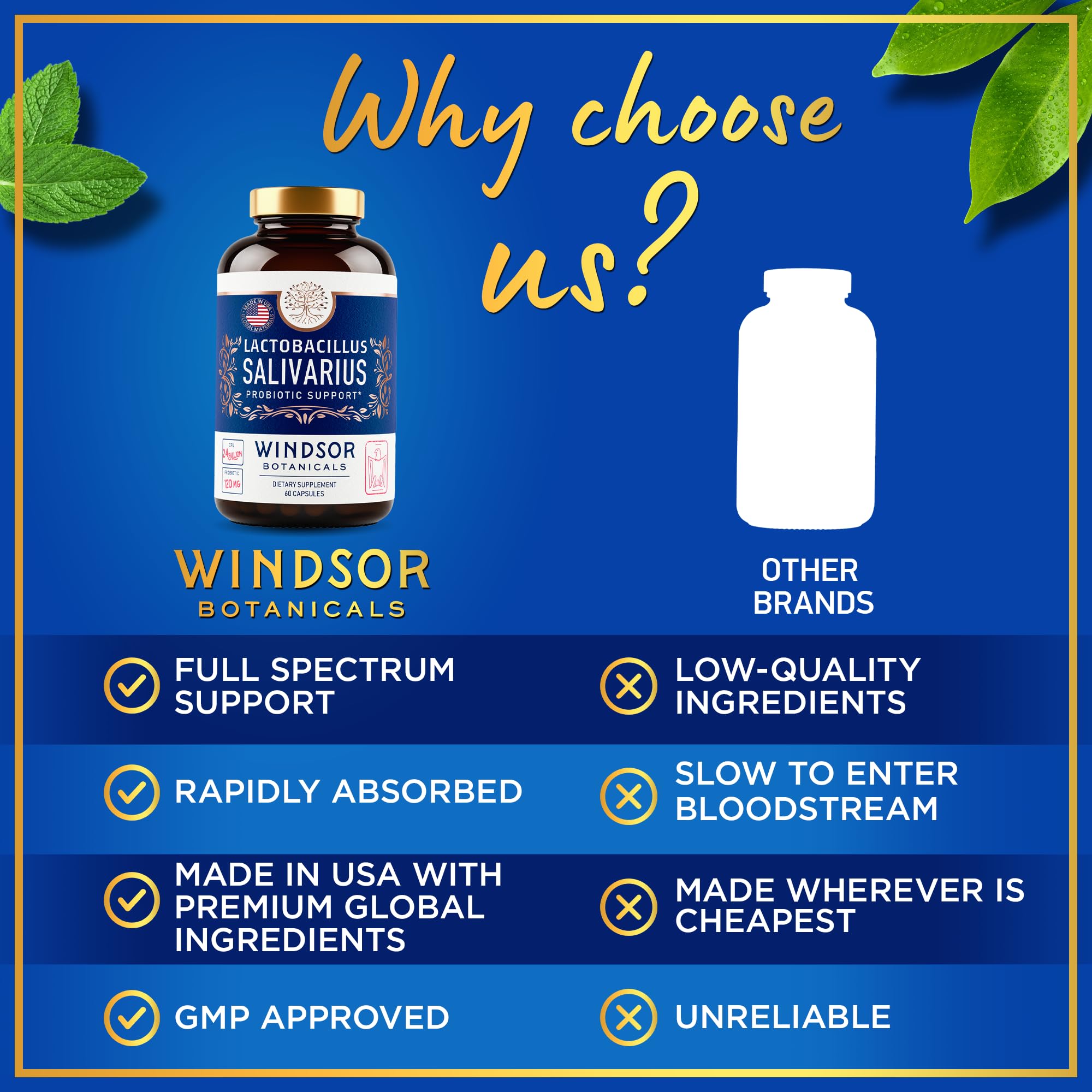 Windsor Botanicals immune support via gut health synergy.